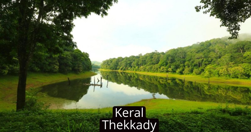 Keral Thekkady: प्राकृतिक खूबसूरती का अनूठा संगम है केरल का टेक्कड़ी